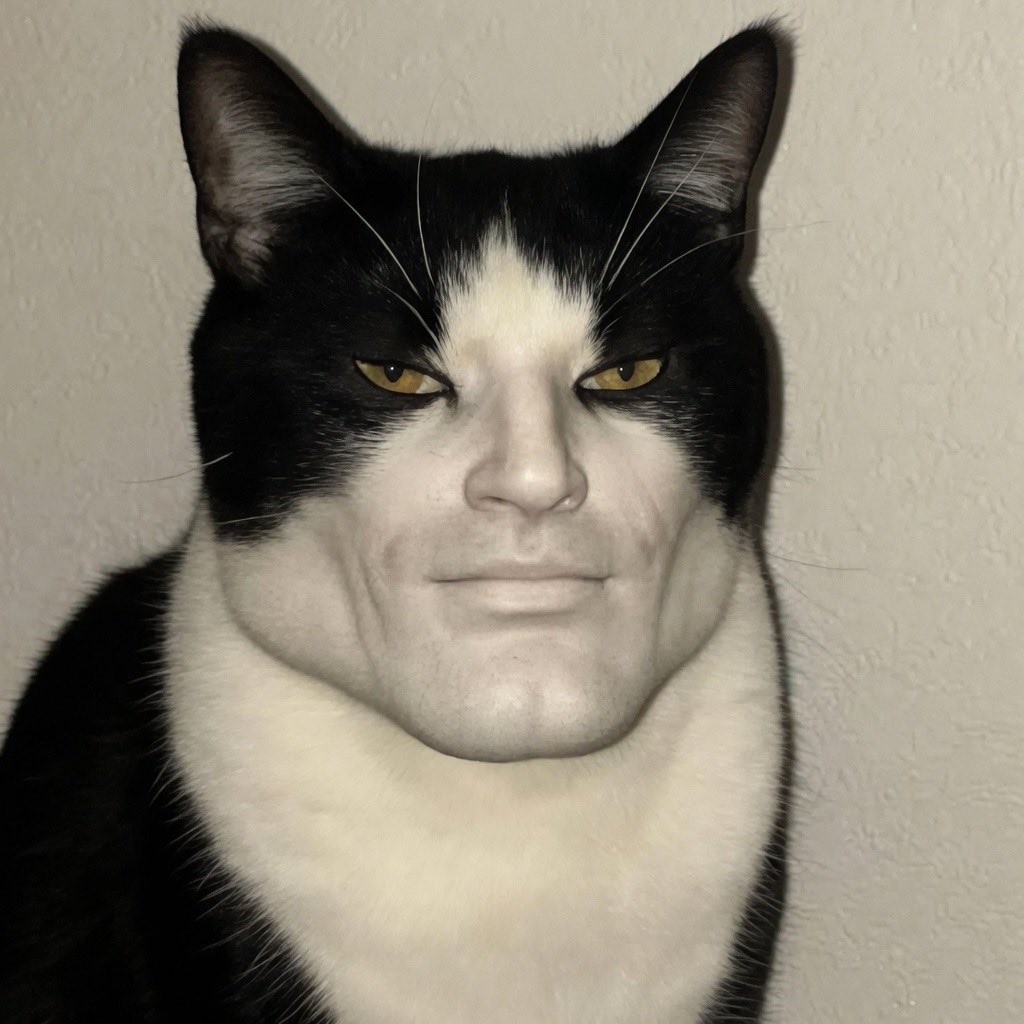 Image 4848