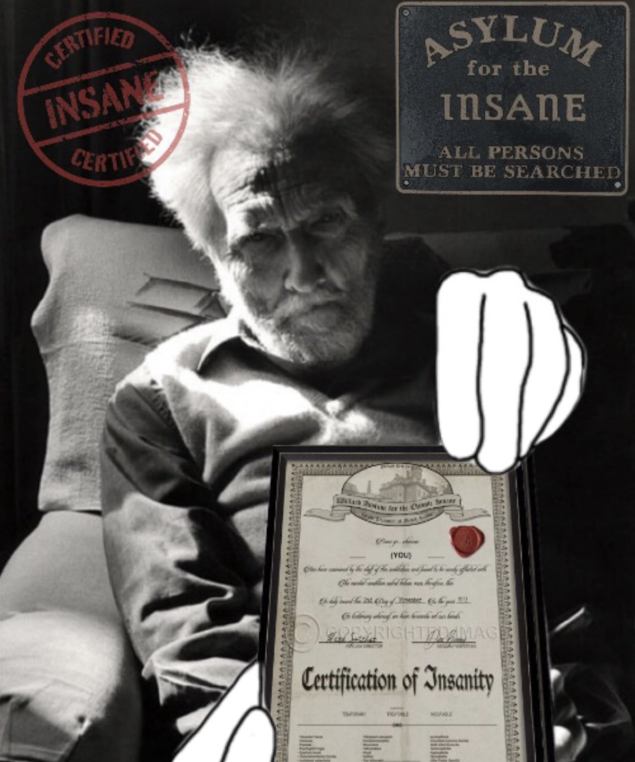 Insane old ezra pound certified asylum