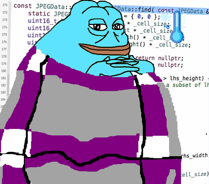 c++ programming groyper blanket