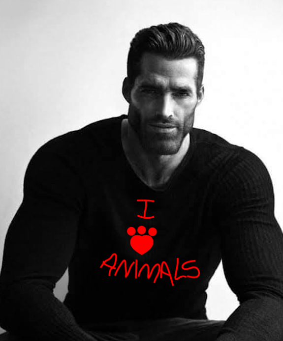 gigachad i love heart animals