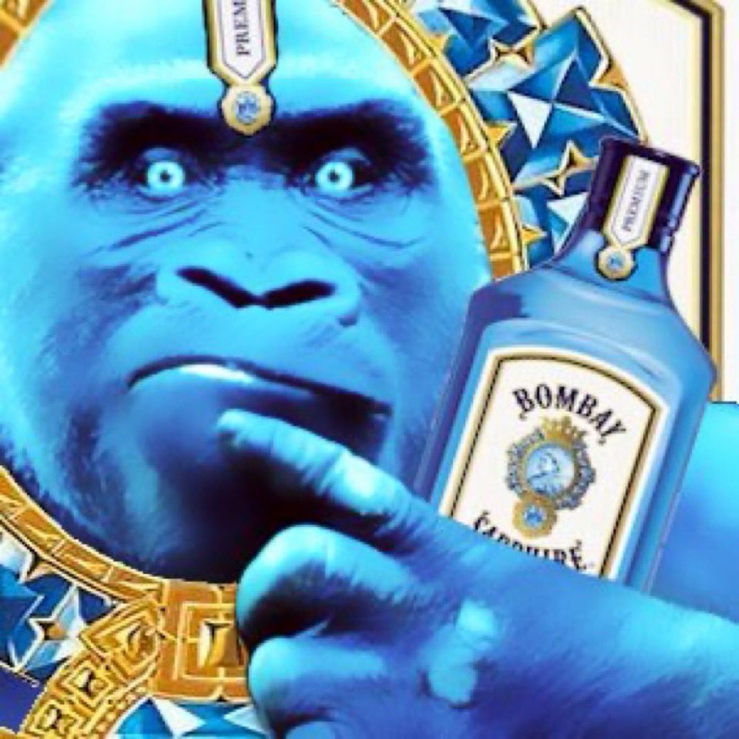 gorilla john winthrop blue bombay sapphire