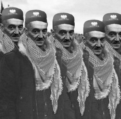 Image 3884