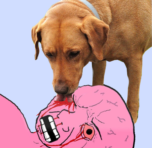 dog licking bleeding pink wojak soyjak