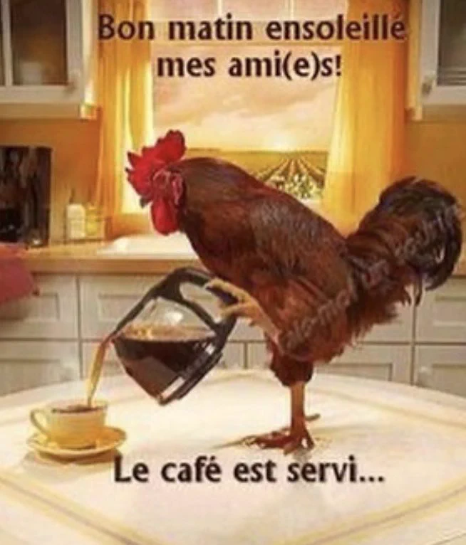 bon matin rooster le cafe est servi