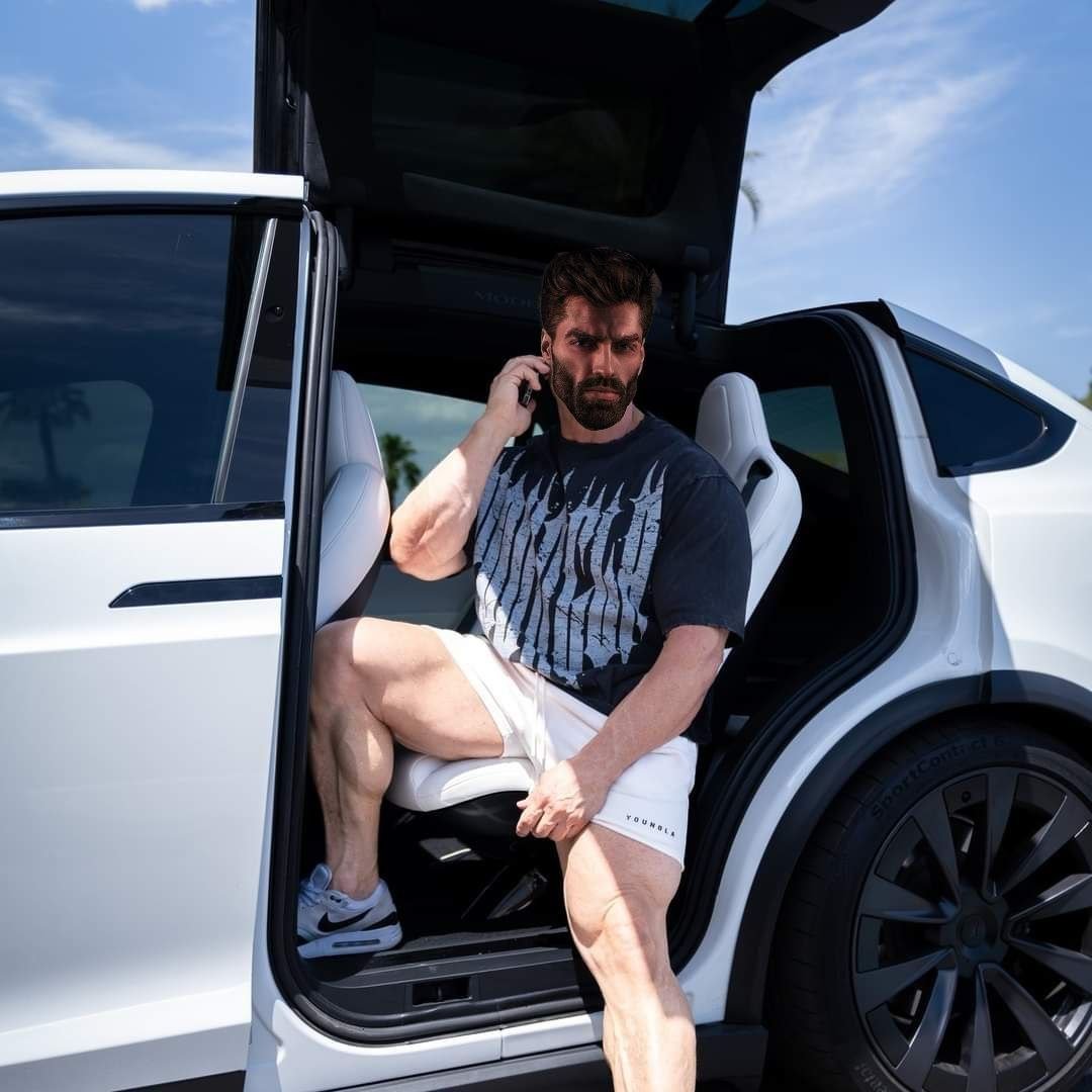 Gigachad tesla sports phone call