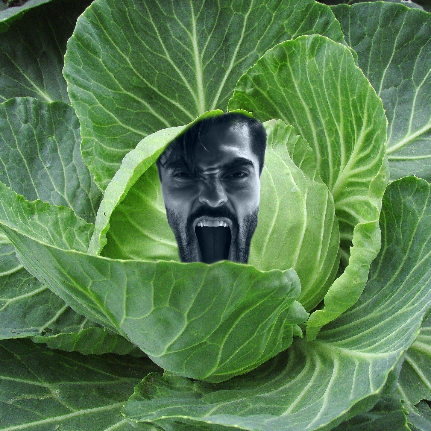 cabbage gigachad screaming