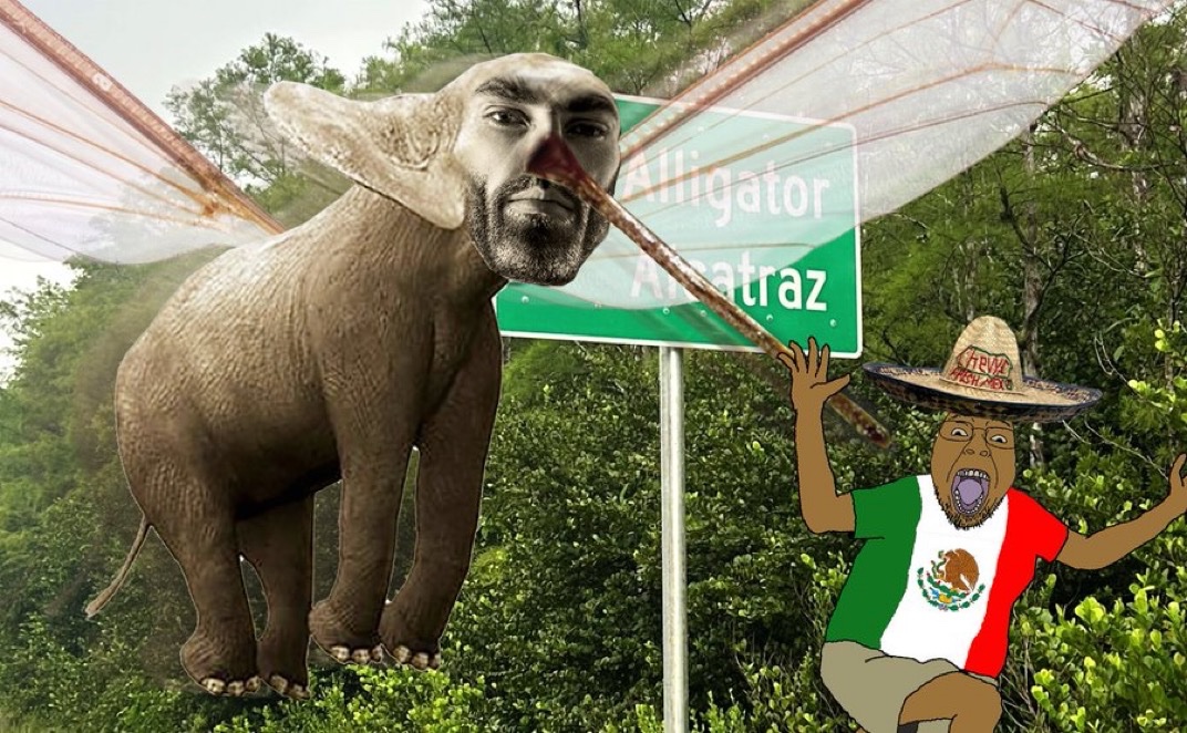 elephant gigachad mosquito Mexican soyjak
