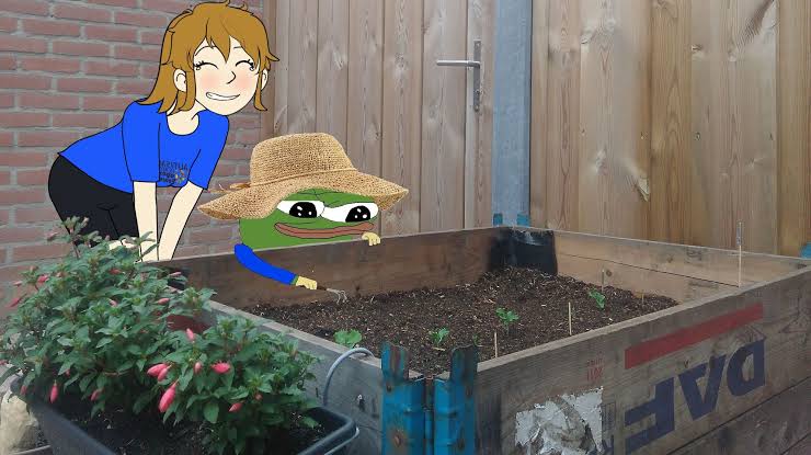 apu gardening ashbie