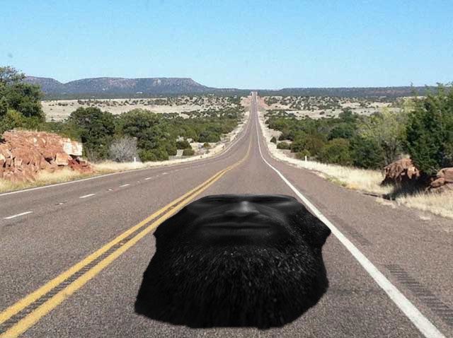 gigachad head flat desert highway