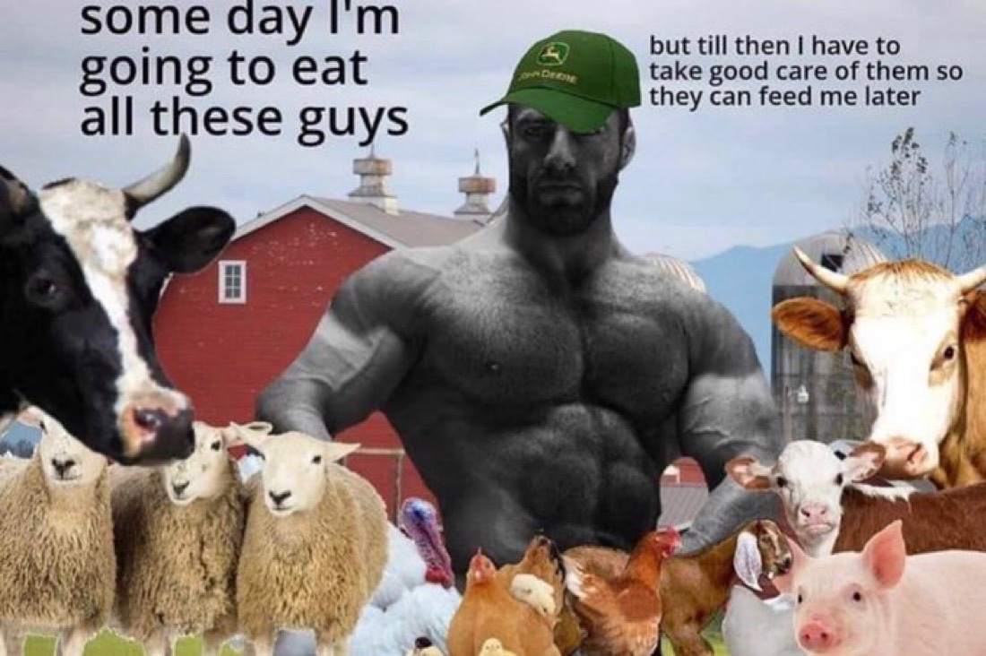 Image 4108