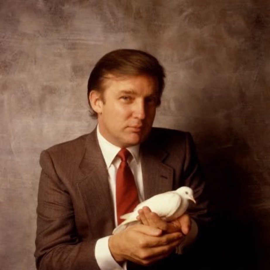 donald trump dove sensitive
