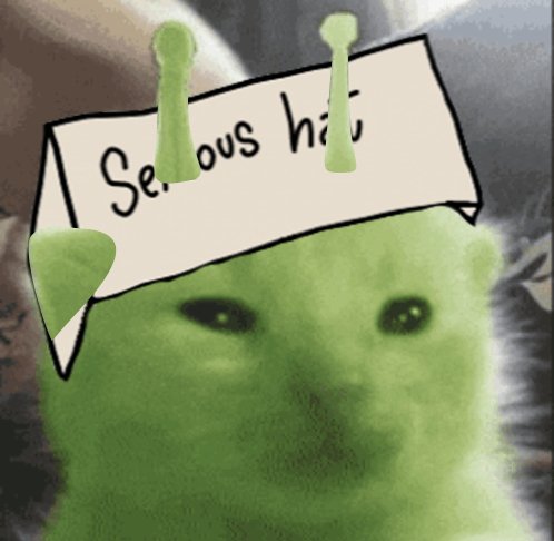 green kitten alien serious hat