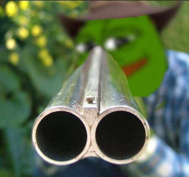 farmer pepe pointing shotgun cowboy hat
